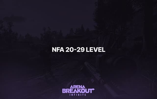 Arena Breakout: Infinite (NFA 20-29 Level)