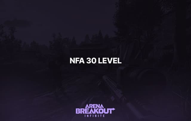 Arena Breakout: Infinite (NFA 30 Level)