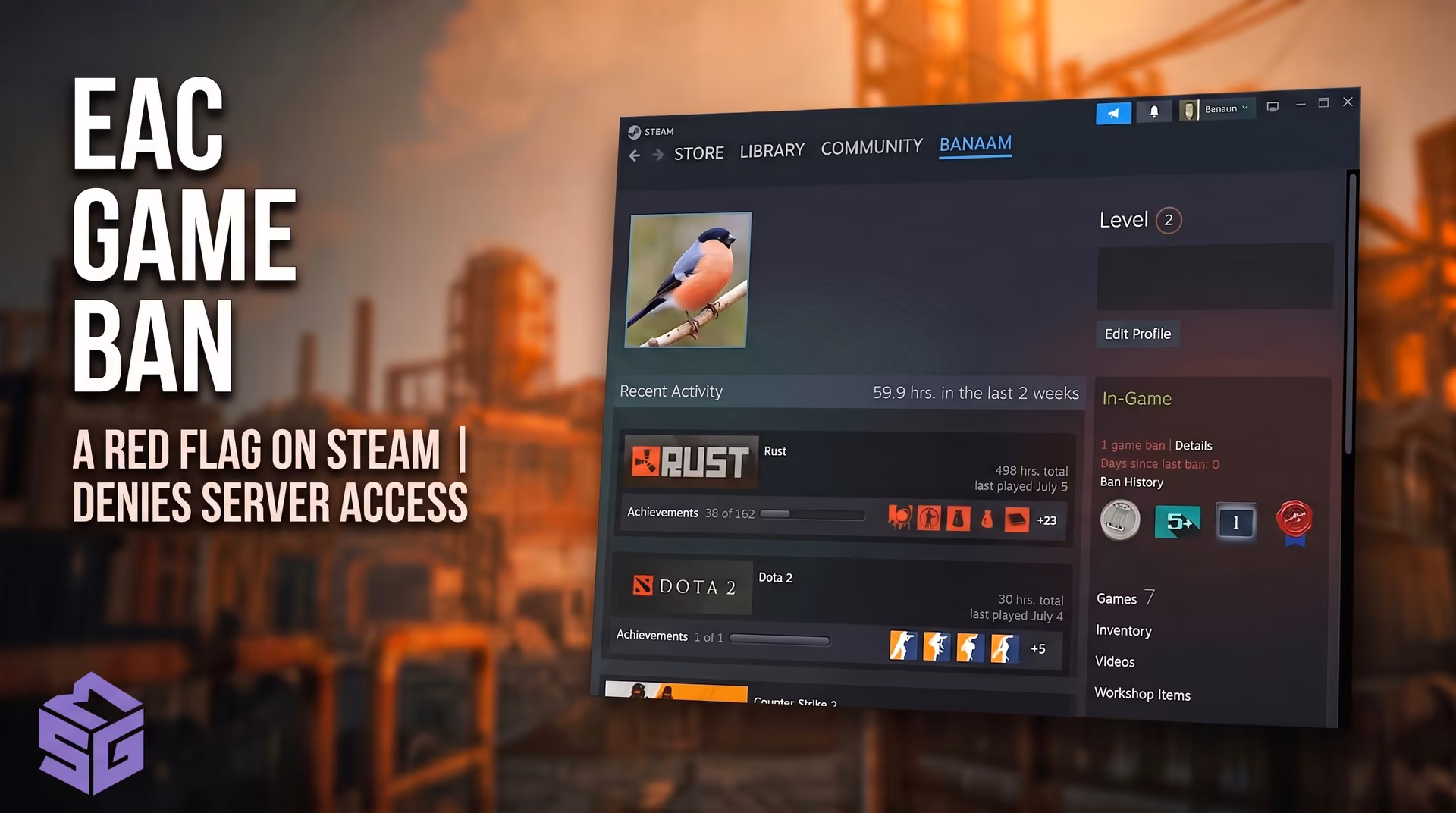 What an EAC ban in Rust looks like on a Steam profile